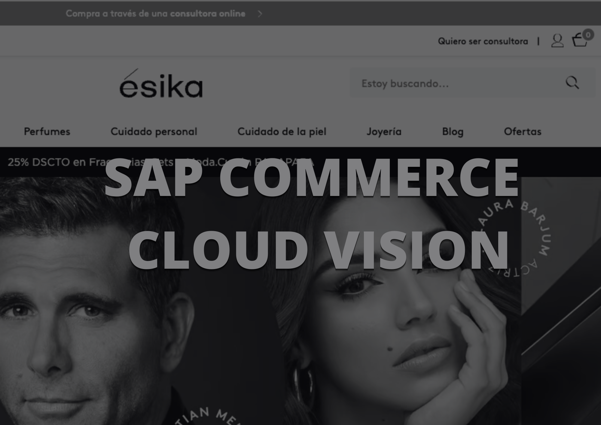 SAP Commerce Cloud Vision Ahead